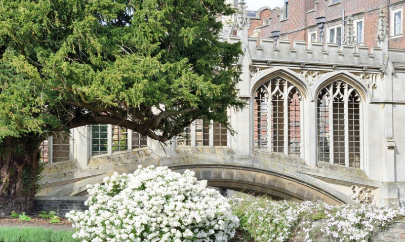 Top 10 Universities in the UK: Fees, Scholarships & How to Apply