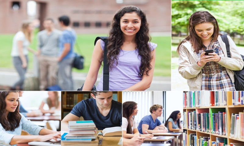 Discover the University of Bath Campus: A Comprehensive Tour